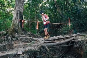 BIB: 
                            <button type="button" onclick="openModal(27309110)" class="btn btn-primary btn-sm float-right btn-popup" data-toggle="modal" data-target=".modal-high-quality">
                        <i class="fas fa-shopping-cart"></i> Add to Cart
                    </button>
                                            <button type="button" onclick="isThisMe(27309110, true)" class="btn btn-success btn-sm float-right btn-popup btn-isme hidden" data-toggle="tooltip" data-placement="bottom" title="นี่คือรูปของคุณใช่ไหม คลิกที่นี่เพื่อเอาเข้าอัลบั้ม">
                        <i class="fas fa-plus"></i> Add to album
                    </button>
                    <button type="button" onclick="isThisMe(27309110, false)" class="btn btn-warning btn-sm float-right btn-popup btn-isnotme hidden">
                        <i class="fas fa-ban"></i> Remove from album
                    </button>